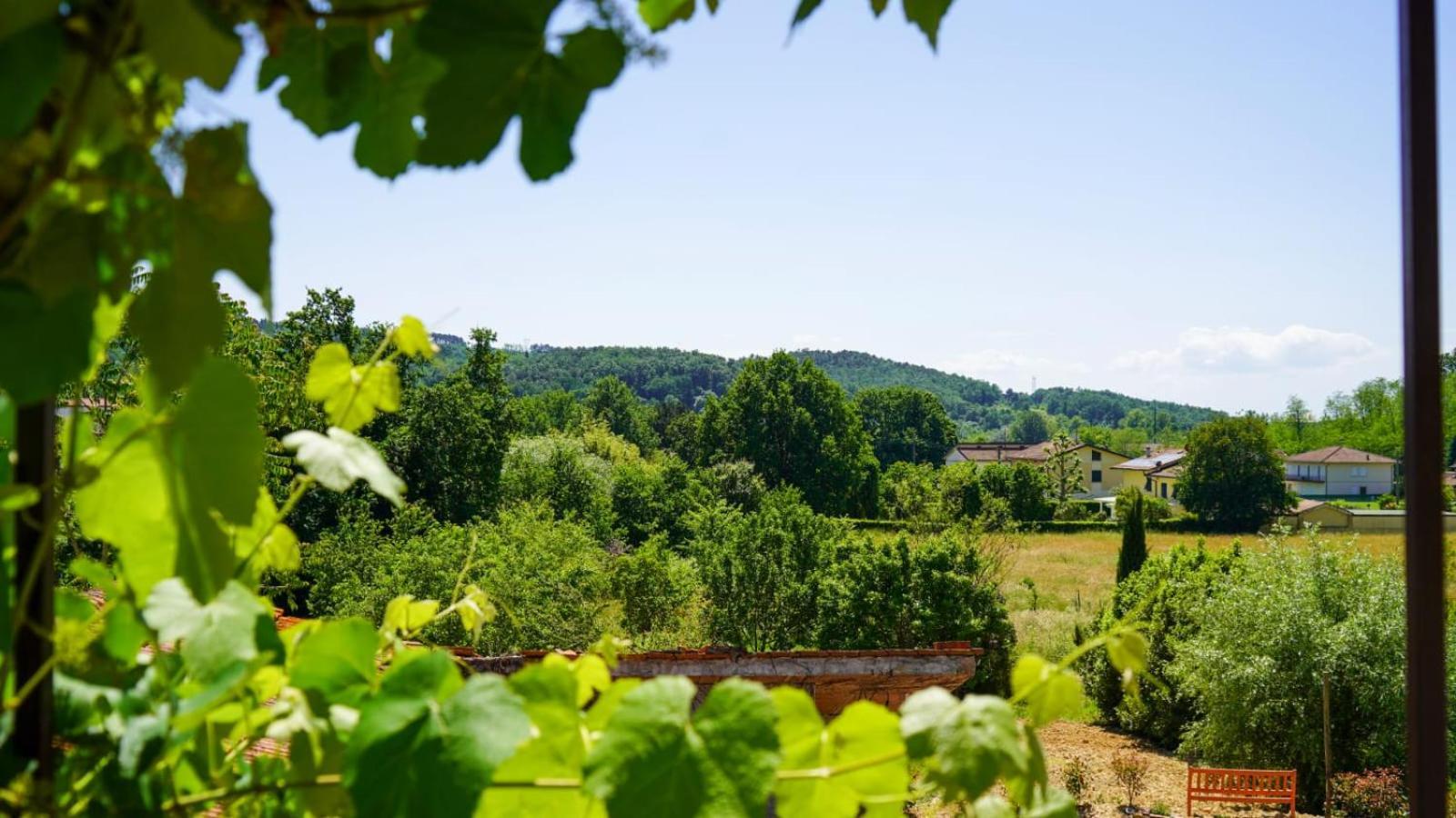 카판노리 Wine House B&B 외부 사진