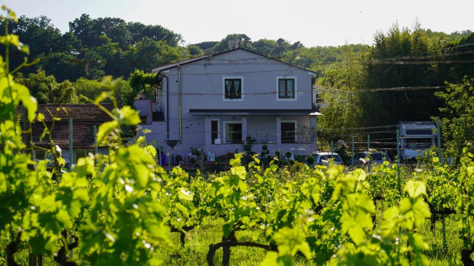카판노리 Wine House B&B 외부 사진