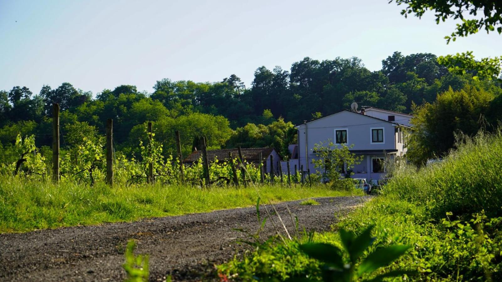 카판노리 Wine House B&B 외부 사진