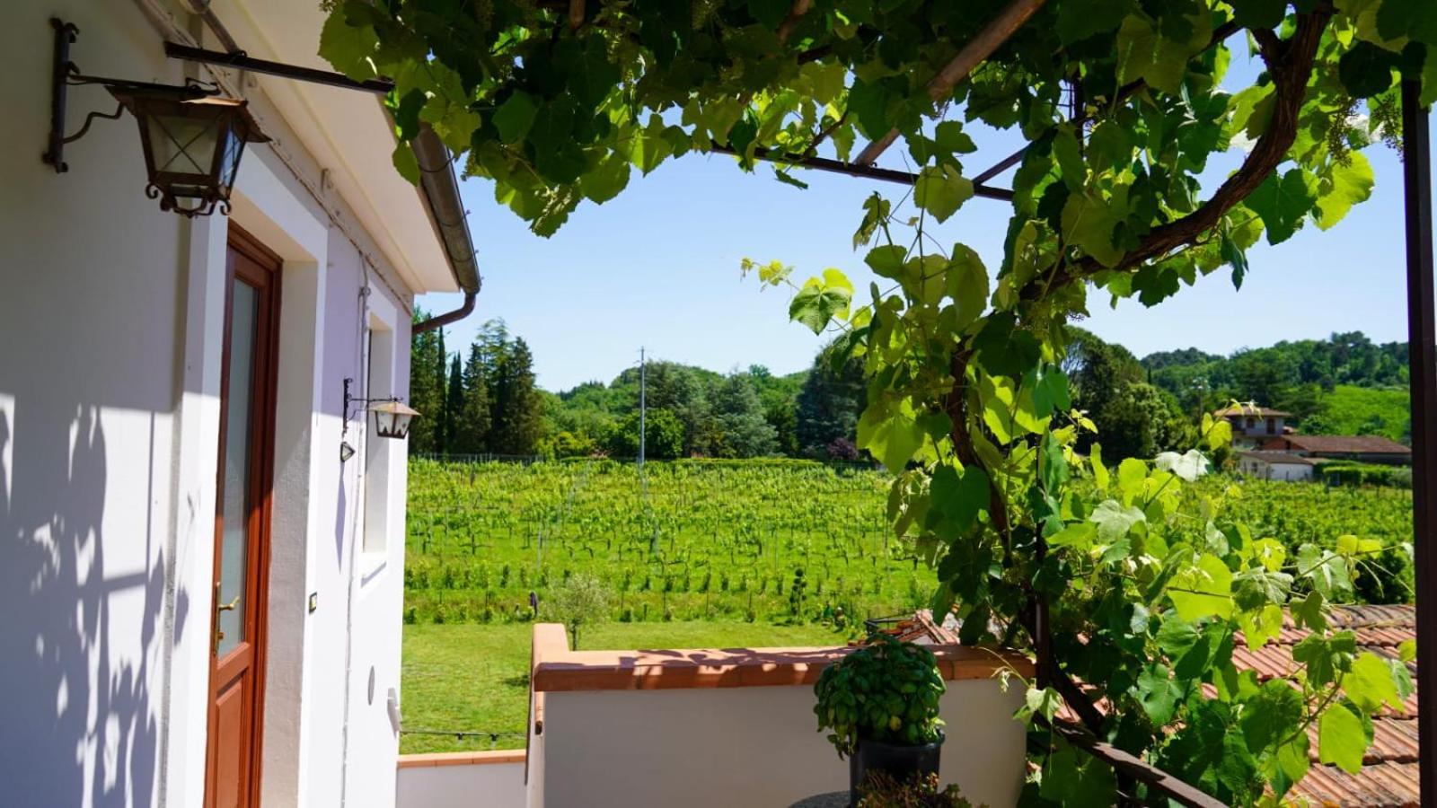 카판노리 Wine House B&B 외부 사진