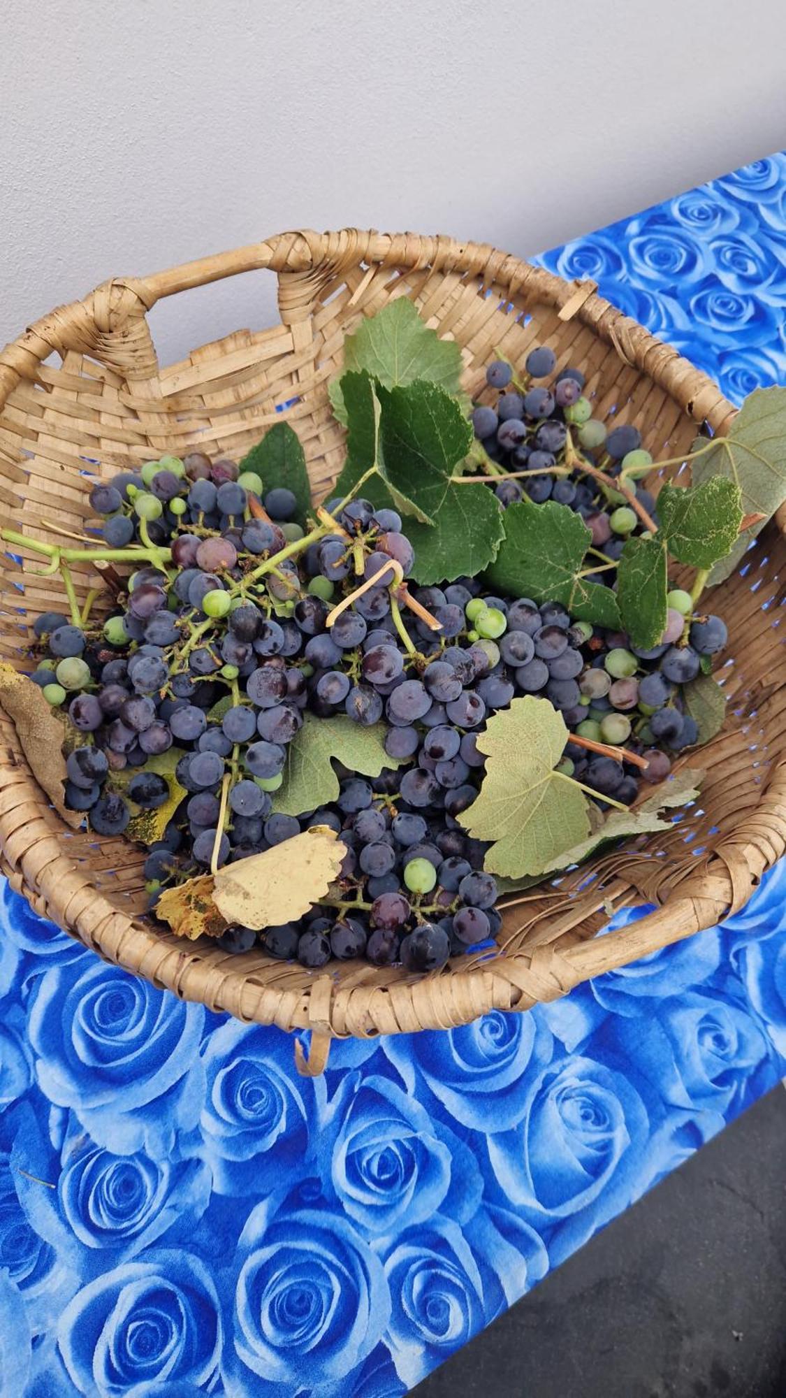 카판노리 Wine House B&B 외부 사진